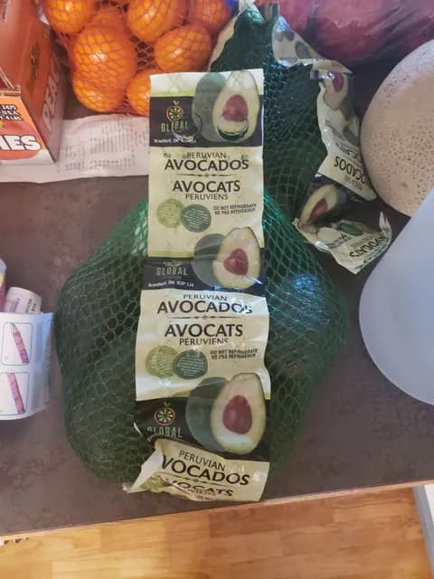 Global Citrus Group Peruvian Avocados