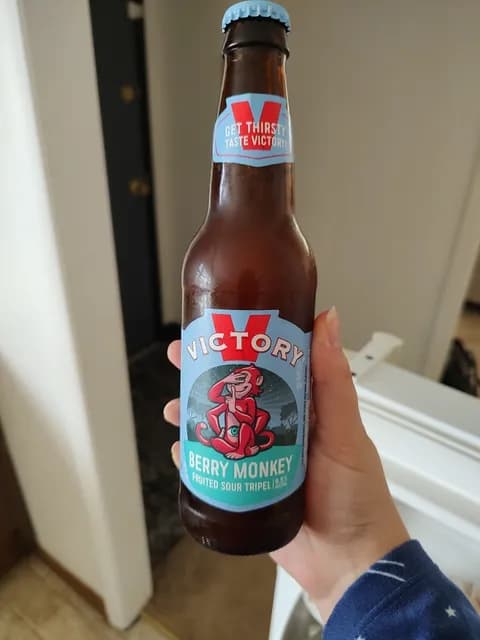 Victory Berry Monkey Fruited Sour Tripel
