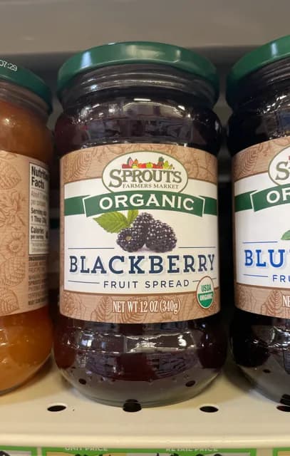 Sprouts Farmers Market Organic Blackberry Fruit Spread