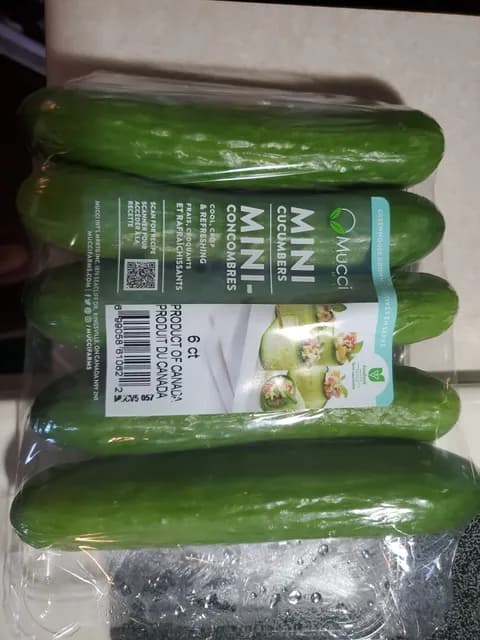 Mucci Farms Mini Cucumbers