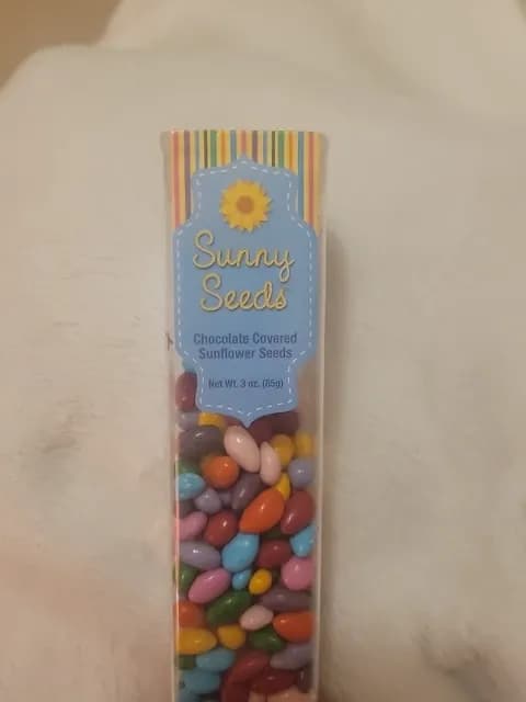 Sunny Seeds Chocolate Covered Sunflower Seeds