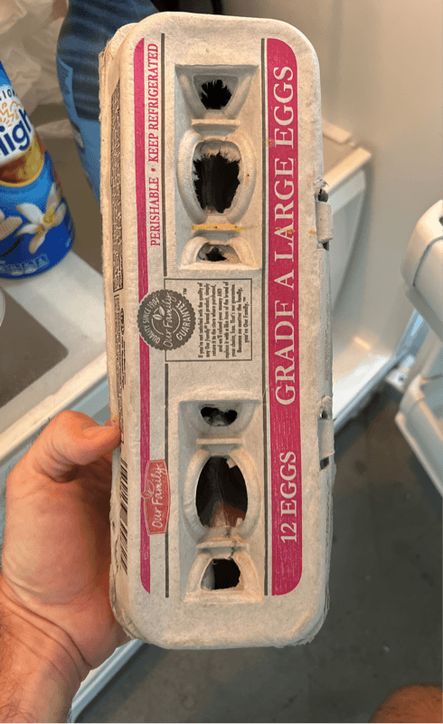 Our Family Grade A Large Eggs
