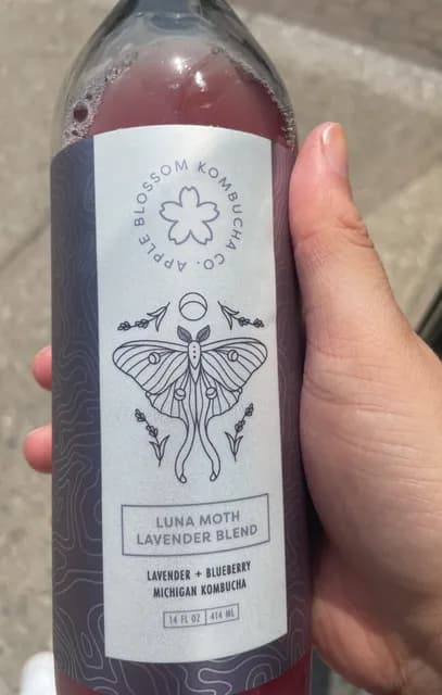 Apple Blossom Kombucha Co. Luna Moth Lavender Blend
