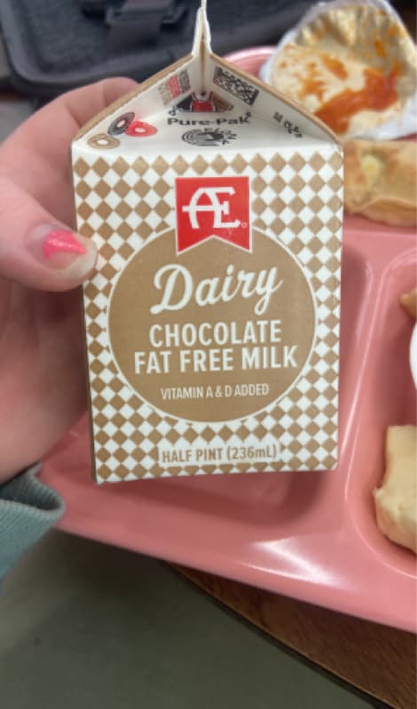 Anderson Erickson Dairy Chocolate Fat Free Milk