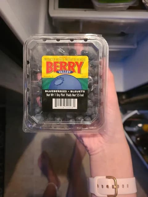 Berry Valley Blueberries