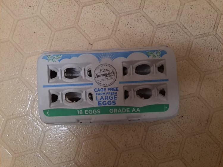 Sunnyside Farms Cage Free Farm Fresh Large Eggs