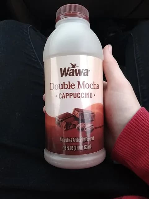 Wawa Double Mocha Cappuccino