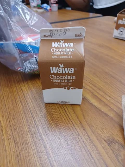 Wawa Chocolate Nonfat Milk