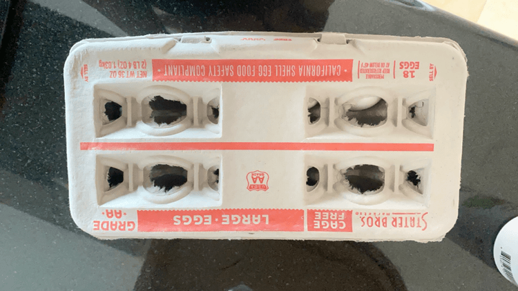 Stater Bros Cage Free Large Eggs Grade Aa