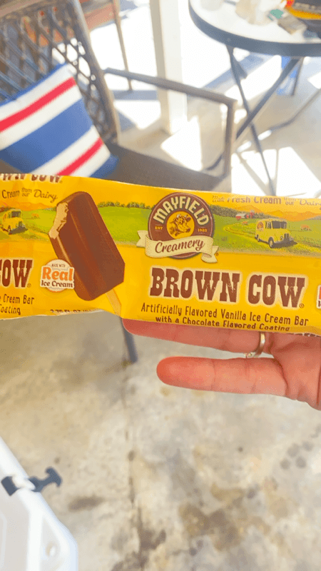 Mayfield Creamery Brown Cow Vanilla Ice Cream Car