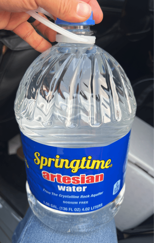 Springtime Artesian Water
