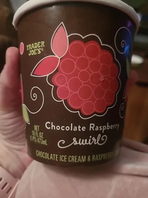 Trader Joe'S Chocolate Raspberry Swirl Chocolate Ice Cream & Raspberry Sorbet