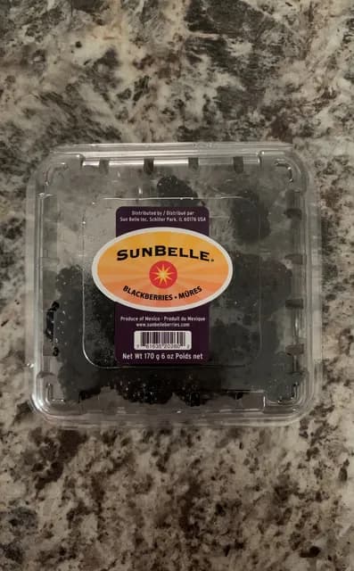Sun Belle Blackberries