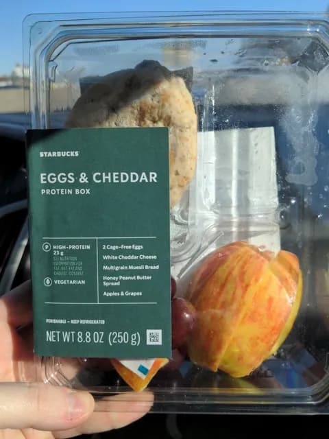 Starbucks Eggs & Cheddar Protein