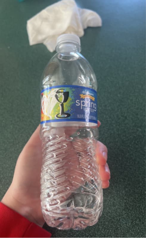 Wegmans Spring Water
