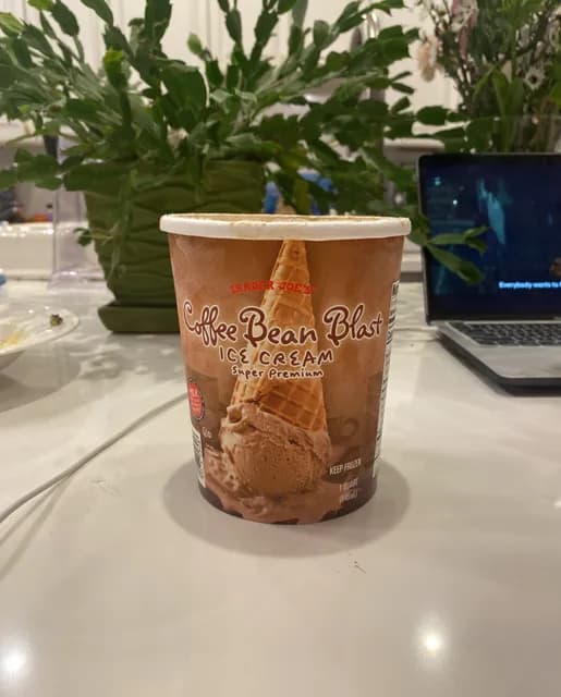 Trader Joe'S Coffee Bean Blast Ice Cream Super Premium