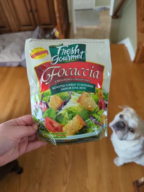 Fresh Gourmet Focaccia Croutons Roasted Garlic Flavoured