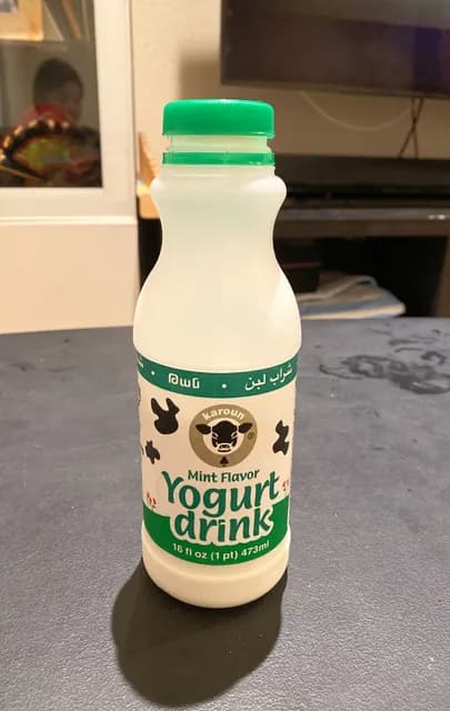 Karoun Mint Flavor Yogurt Drink