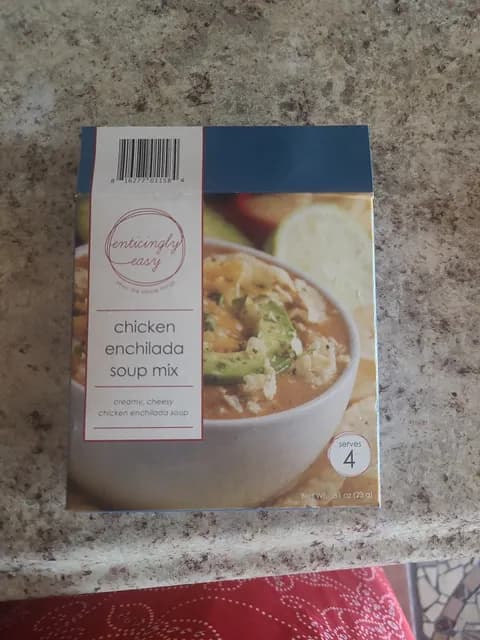 Just In Time Gourmet Enticingly Easy Chicken Enchilada Soup Mix