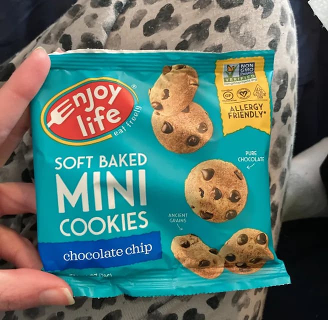Enjoy Life Soft Baked Mini Cookies Chocolate Chip