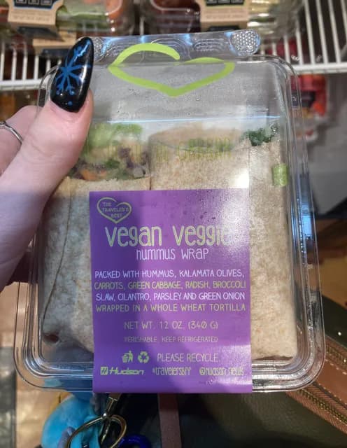 The Traveler'S Best Vegan Veggie Hummus Wrap