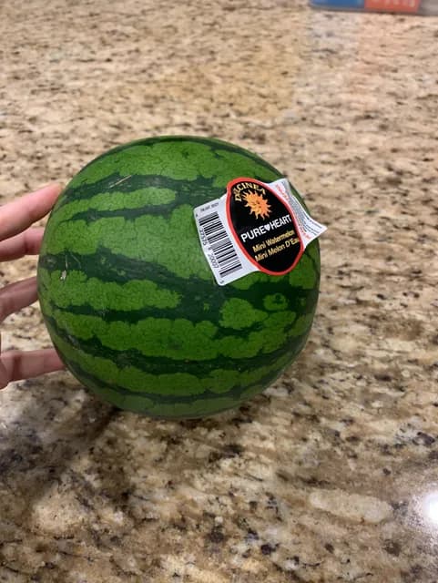 Dulcinea Pure Heart Mini Watermelon