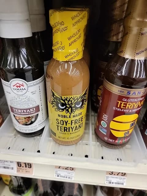 Noble Made Soy-Free Teriyaki Sauce & Marinade