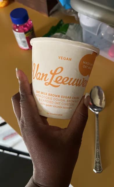 Van Leeuwen Vegan Oat Milk Brown Sugar Chunk