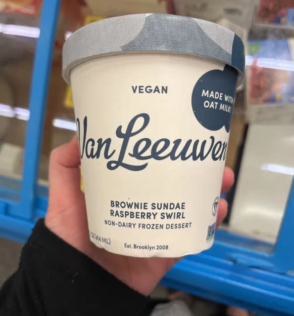 Van Leeuwen Vegan Brownie Sundae Raspberry Swirl
