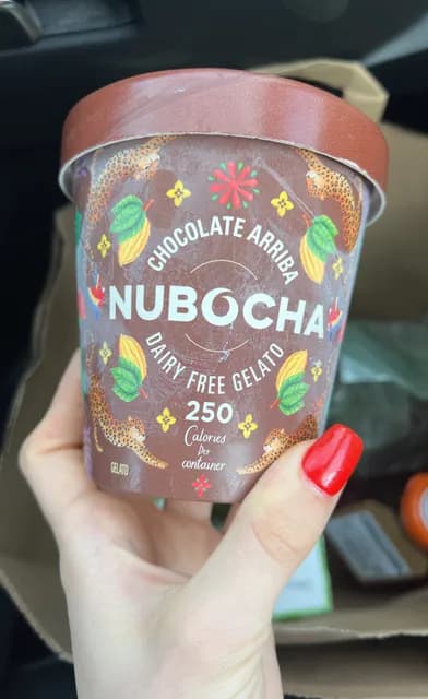 Nubocha Chocolate Arriba Dairy Free Gelato