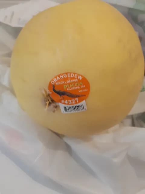 Peacock Orangedew Melon L'Orange