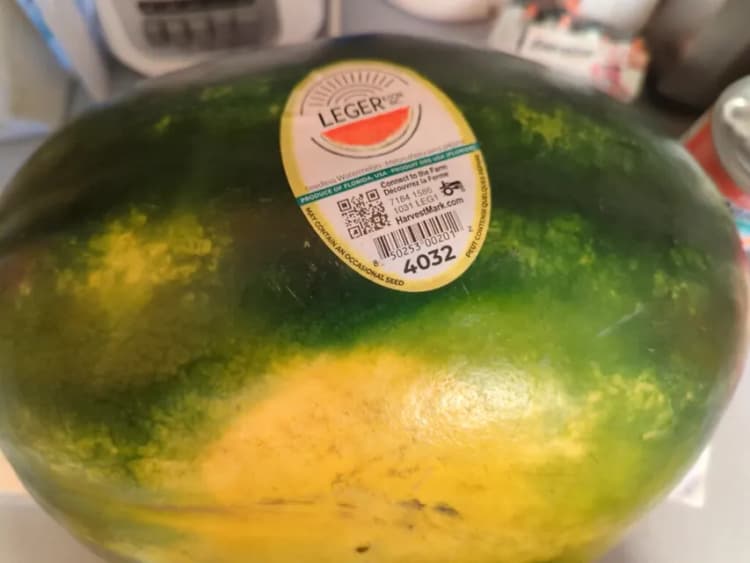 Leger & Son Inc. Seedless Watermelon
