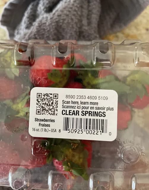 Clear Springs Strawberries