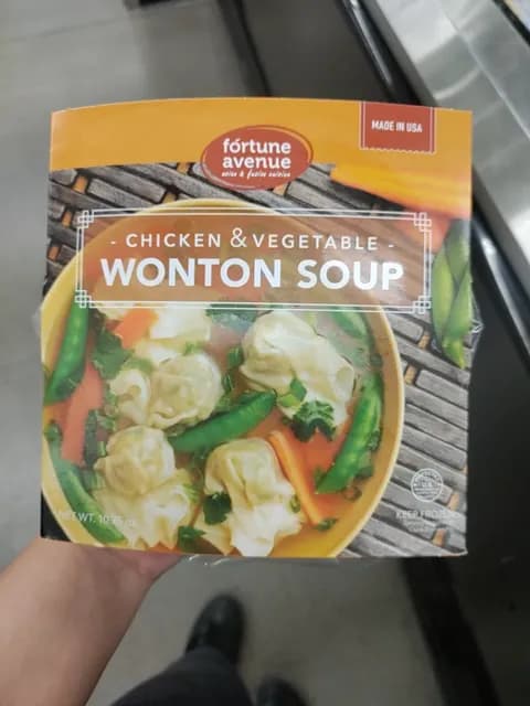 Fortune Avenue Chicken & Vegetable Wonton Soup