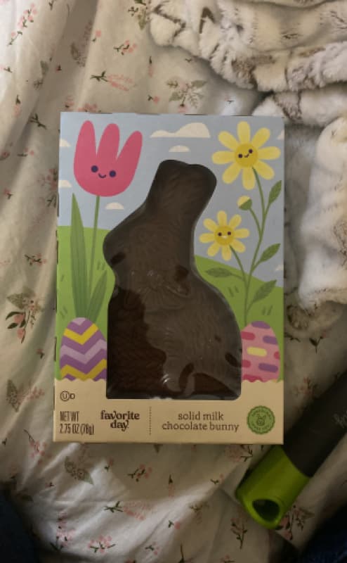 Favorite Day Solid Milk Chocolate Bunny