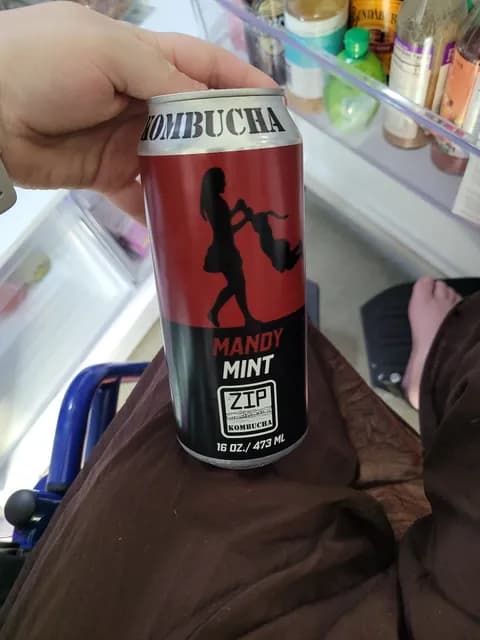 Zip Kombucha Mandy Mint