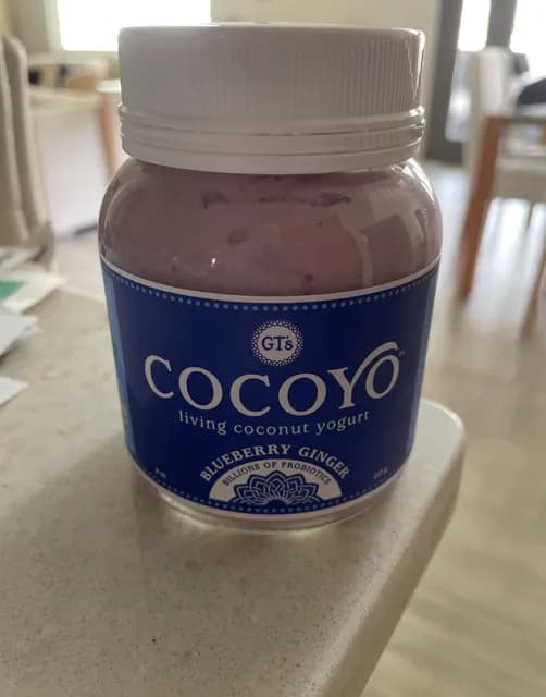 Gt'S Cocoyo Blueberry Ginger Living Coconut Yogurt