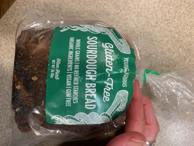 Young Kobras Gluten Free Sourdough Bread