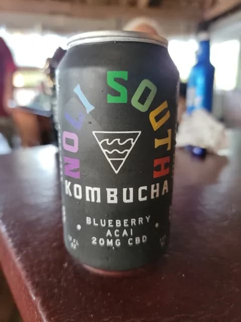 Noli South Blueberry Acai Kombucha
