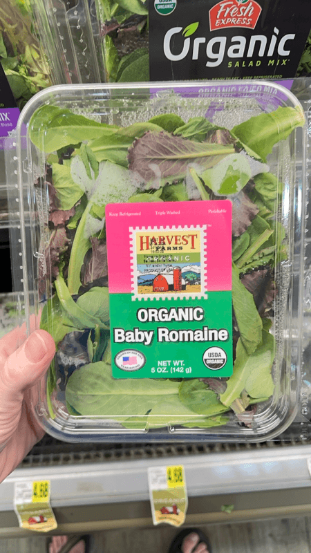 Harvest Farms Organic Baby Romaine