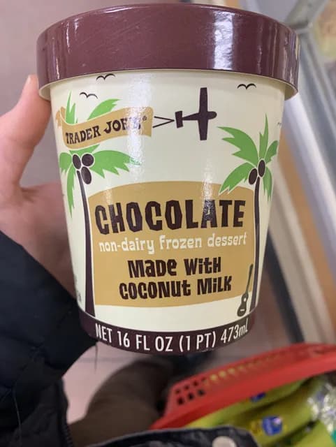Trader Joe’s Chocolate Non-dairy Dessert
