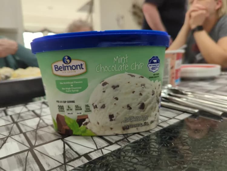 Belmont Mint Chocolate Chip Ice Cream