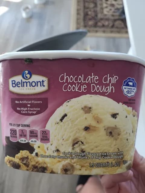 Belmont Chocolate Chip Cookie Dough Ice Cream