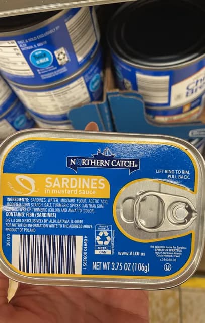 Northern Catch Sardines In Mustard Sauce