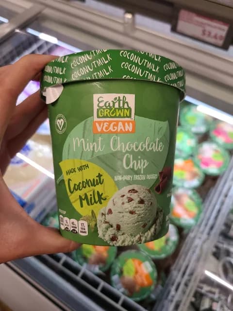 Earth Grown Vegan Mint Chocolate Chip Non-Dairy  Dessert