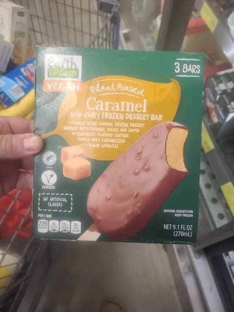 Earth Grown Caramel Non-Dairy  Dessert Bar