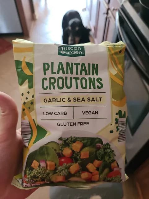 Tuscan Garden Garlic & Sea Salt Plantain Croutons