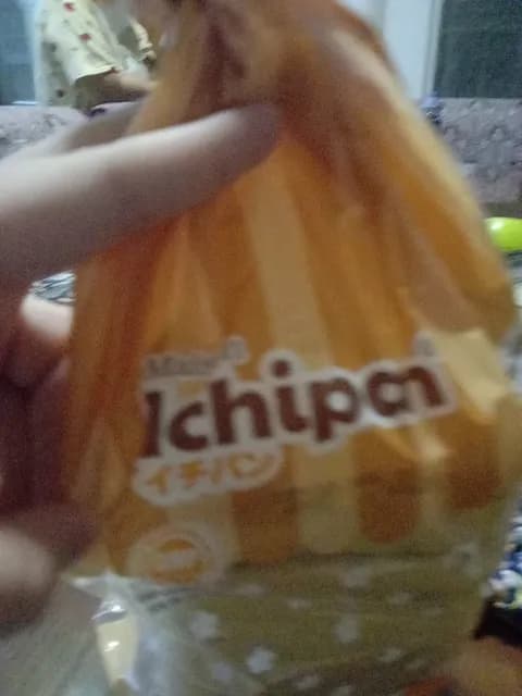 Maison Ichipan White Bread
