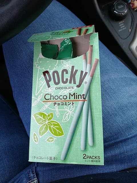 Glico Pocky Chocolate Choco Mint