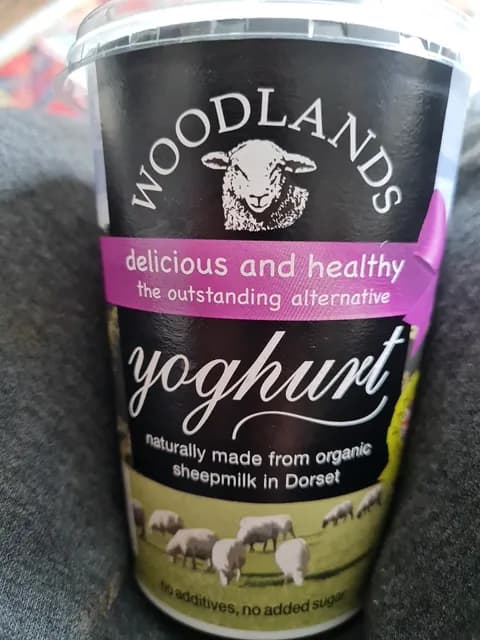 Woodlands Organic Sheepmilk Yoghurt